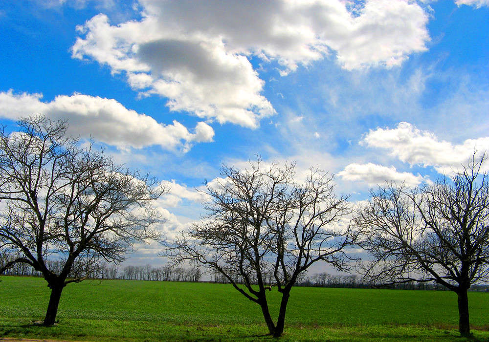 ��� �������� � ���� ����? ����� ���������  �� PhotoGeek.ru #������ ��� �������