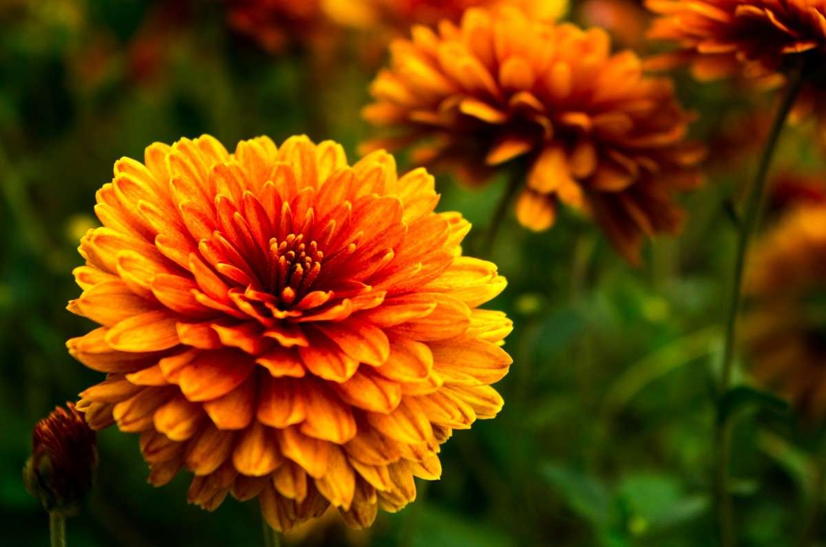 ������ ����� ������  �� PhotoGeek.ru #������ ��� �������