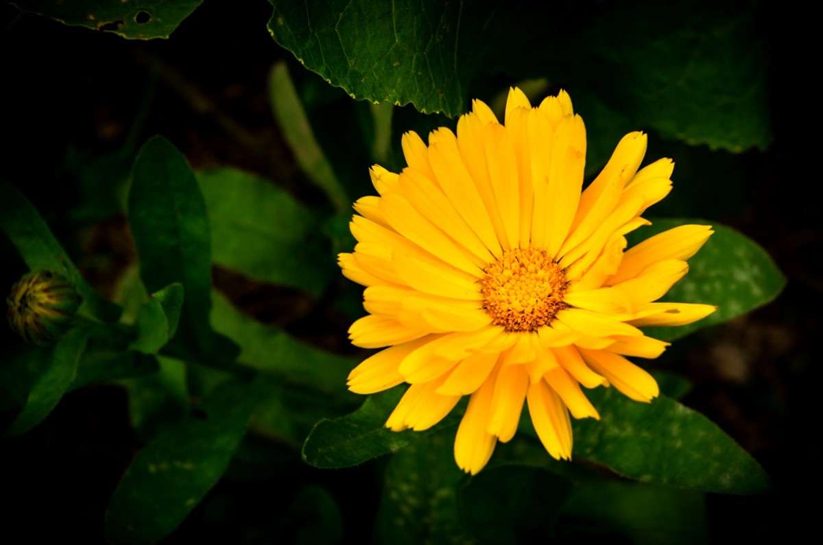 ������ ����� ������  �� PhotoGeek.ru #������ ��� �������