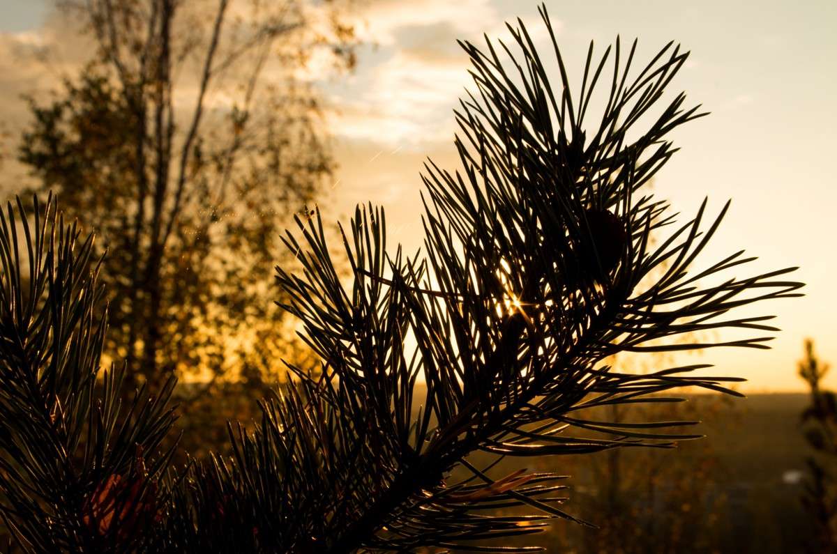 ����� ����� ������  �� PhotoGeek.ru #������ ��� �������