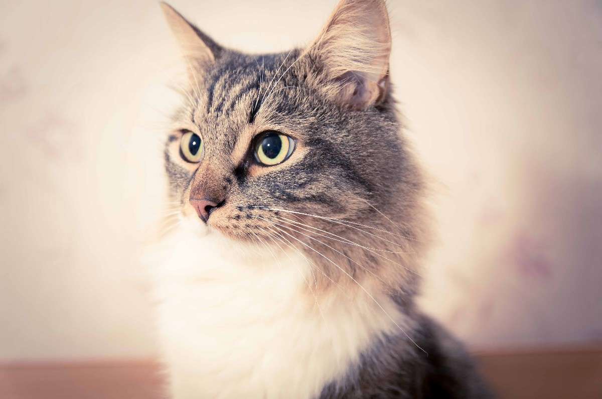 ��� ����� ������  �� PhotoGeek.ru #�������