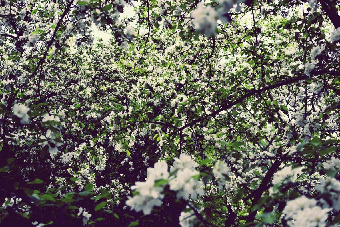 ... ����� ������ ��������� �� PhotoGeek.ru #������ ��� �������