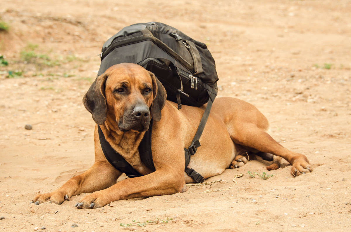 ... ����� ������ ������� �� PhotoGeek.ru #�������� ����������