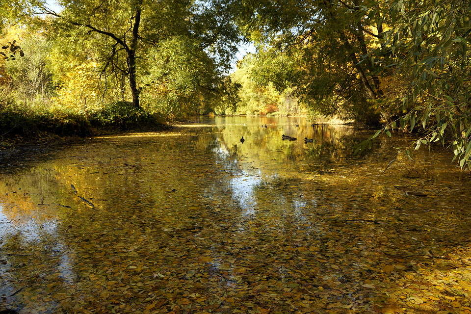 ������� ����������.... ����� yury kokorin �� PhotoGeek.ru #������ ��� �������