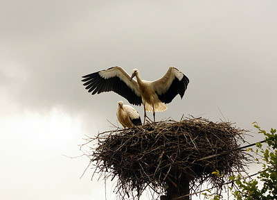 �����.... ����� yury kokorin �� PhotoGeek.ru #�������� ���