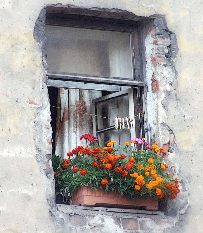 ������ � �������... ����� yury kokorin �� PhotoGeek.ru #�����