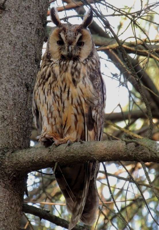 ... ����� ������ �������� �� PhotoGeek.ru #�������� ���