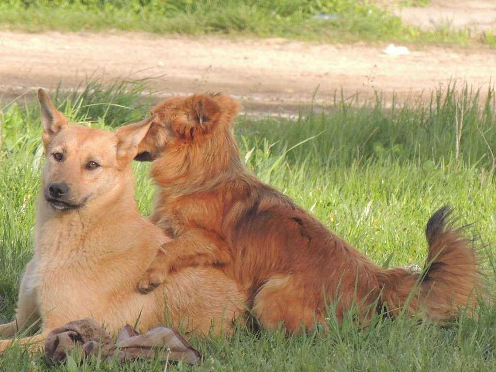 ... ����� ������ �������� �� PhotoGeek.ru #�������� ���