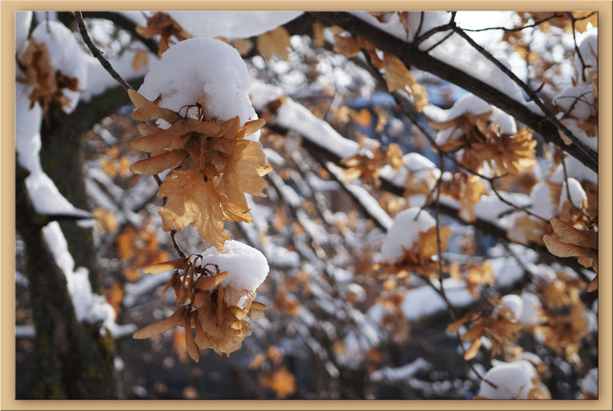 ������ ������� ����� ������  �� PhotoGeek.ru #������ ��� �������