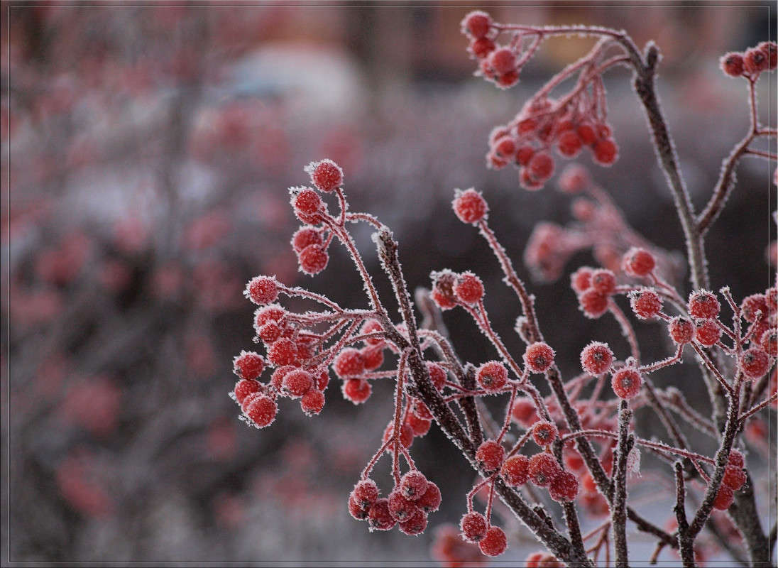 ������� �������� 2 ����� ������  �� PhotoGeek.ru #������ ��� �������