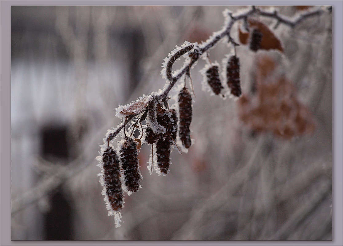 ������� �������� ����� ������  �� PhotoGeek.ru #������ ��� �������