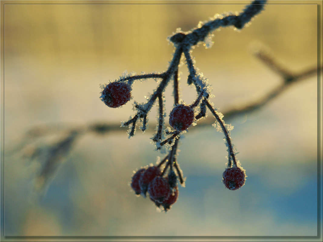 ������� �������� 3 ����� ������  �� PhotoGeek.ru #������ ��� �������