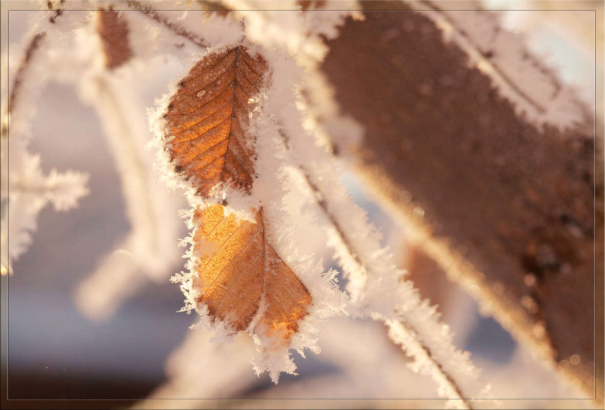 �� 5 ������� 2 ����� ������  �� PhotoGeek.ru #������ ��� �������