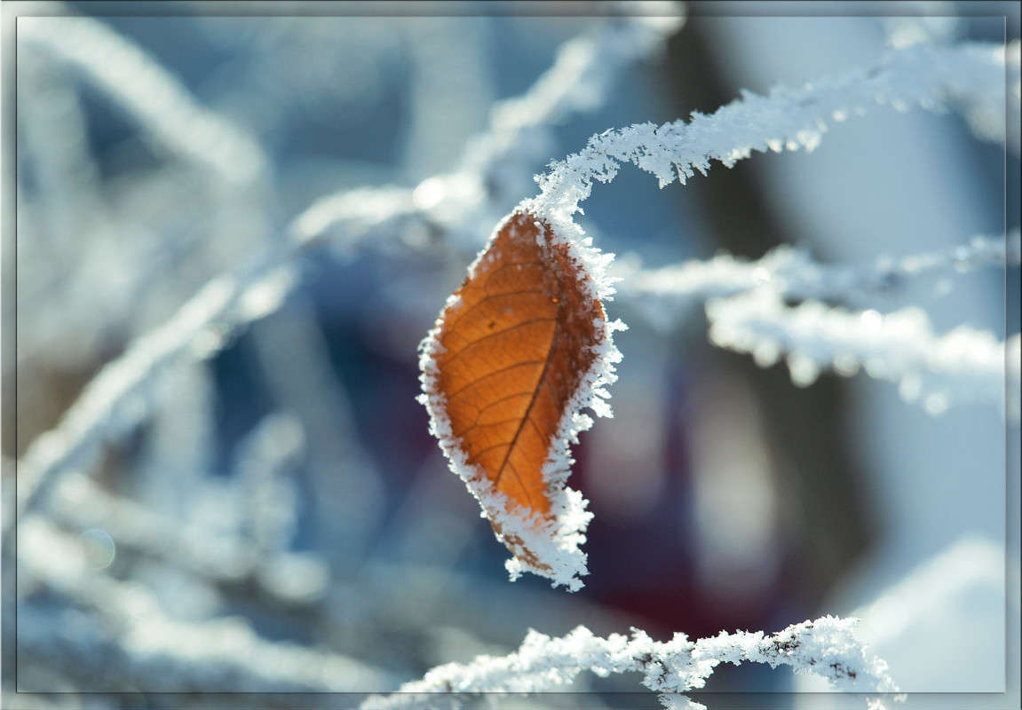 �� 5 ������� ����� ������  �� PhotoGeek.ru #������ ��� �������