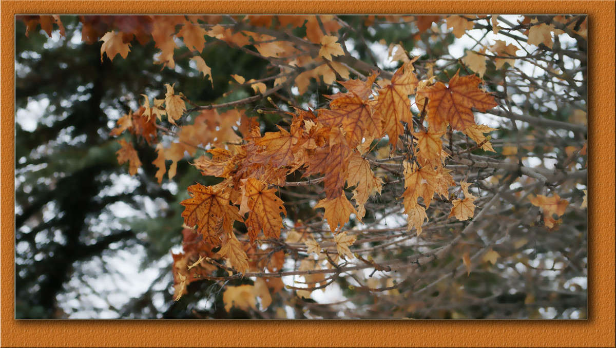 ����������� ������ ����� ������  �� PhotoGeek.ru #������ ��� �������