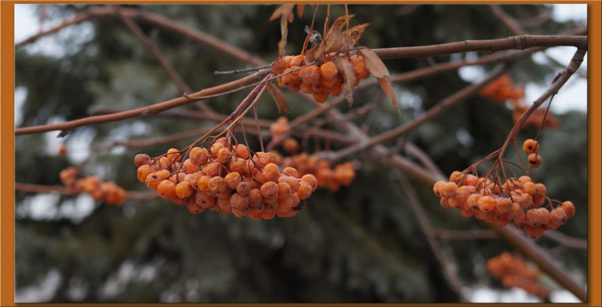 ������ ������� ����� ������  �� PhotoGeek.ru #������ ��� �������