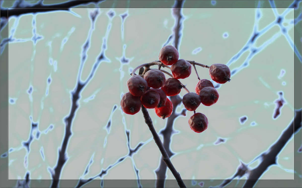 ������ ����� ����� ������  �� PhotoGeek.ru #������ ��� �������