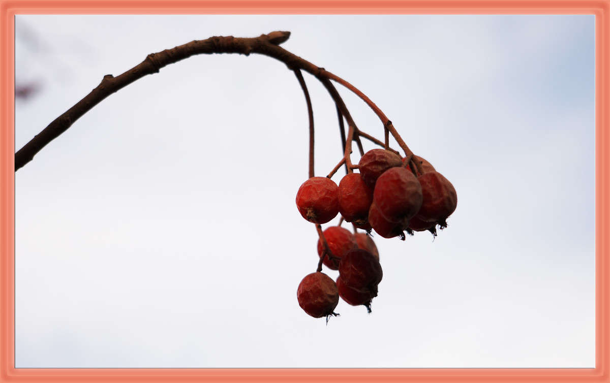 ������ ������ ����� ������  �� PhotoGeek.ru #�����