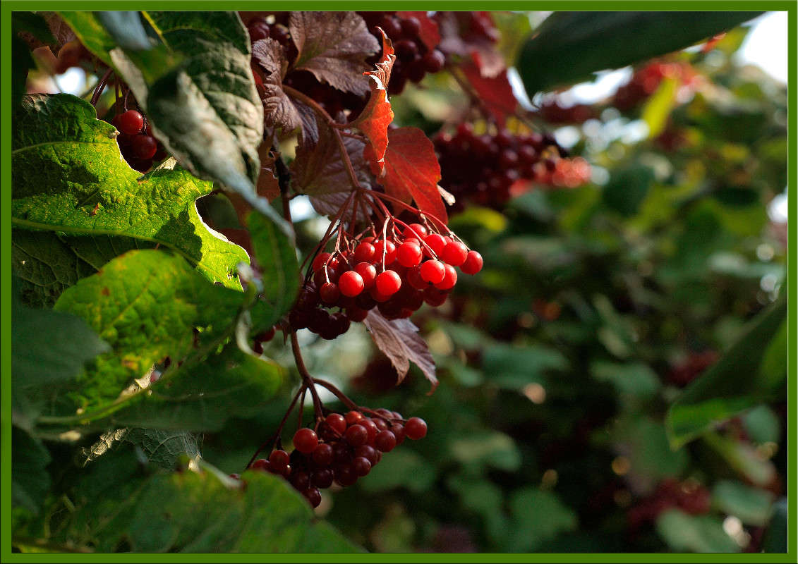 ������ ������� 2 ����� ������  �� PhotoGeek.ru #������ ��� �������