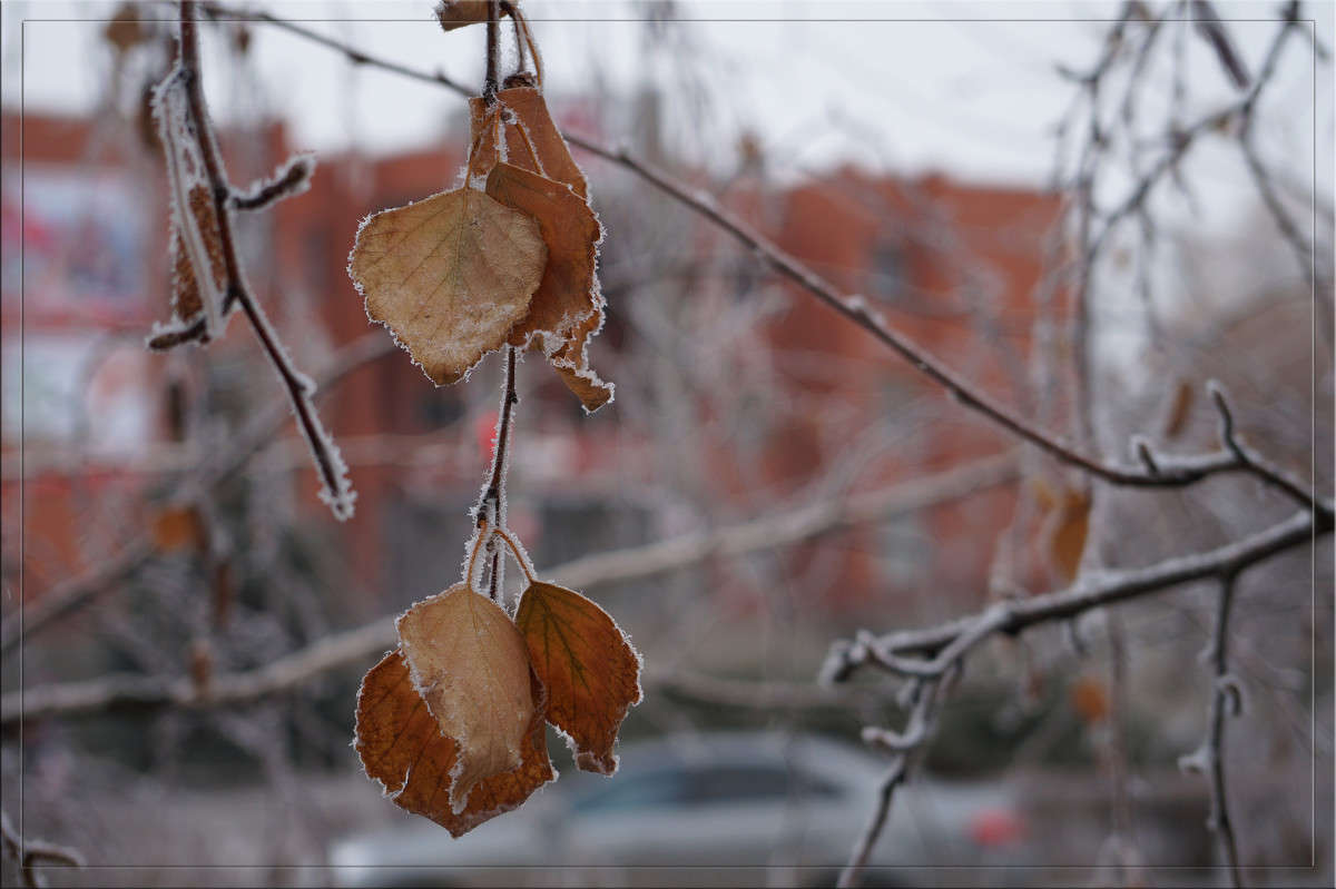 �� ����  ���������� ����� ������  �� PhotoGeek.ru #������ ��� �������