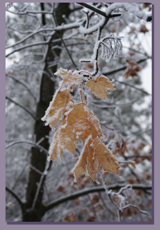 ��������� ������� 2 ����� ������  �� PhotoGeek.ru #������ ��� �������