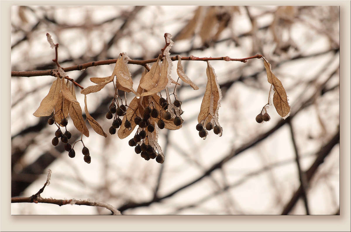 ����� ��� ������� 2 ����� ������  �� PhotoGeek.ru #������ ��� �������