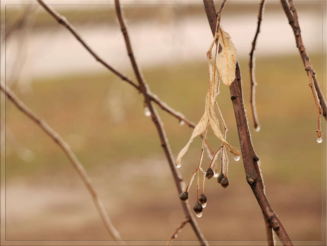 ����� ��� ������� ����� ������  �� PhotoGeek.ru #������ ��� �������