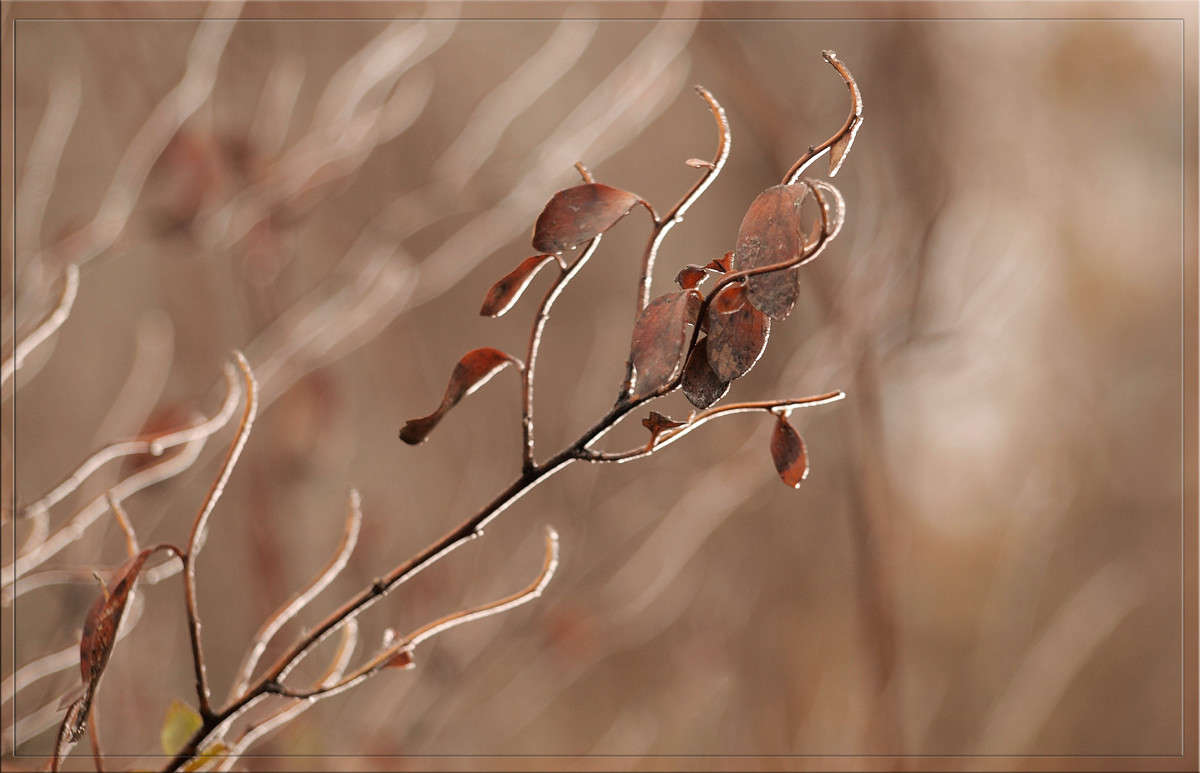 ����� ��� ������� 4 ����� ������  �� PhotoGeek.ru #������ ��� �������