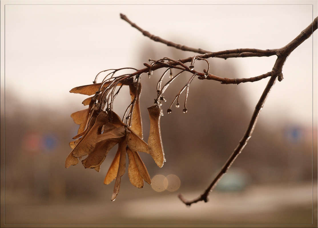 ����� ��� ������� 6 ����� ������  �� PhotoGeek.ru #������ ��� �������