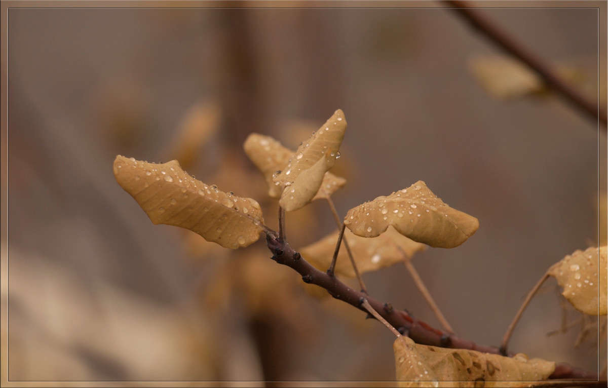 �� 23 ������� ����� ������  �� PhotoGeek.ru #������ ��� �������