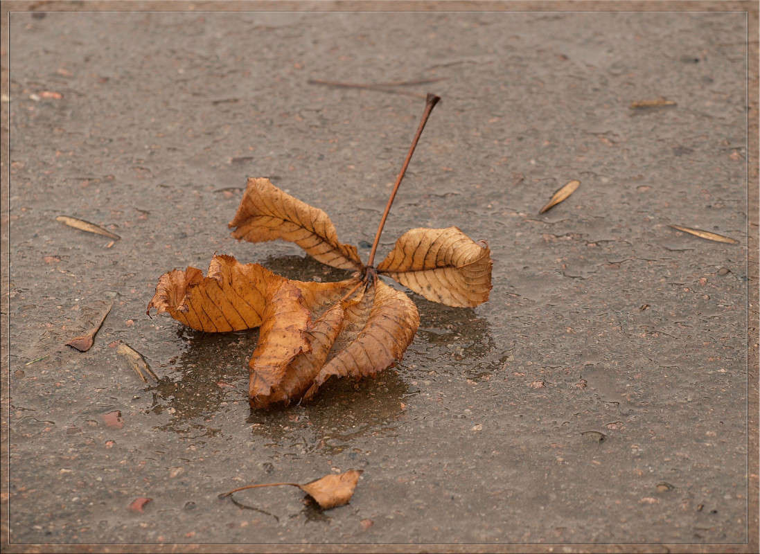 �� 23 ������� 2 ����� ������  �� PhotoGeek.ru #������ ��� �������