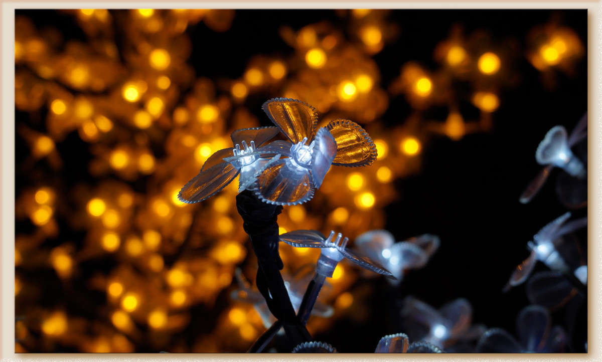 �������������� ����� ������  �� PhotoGeek.ru #�������� ����������