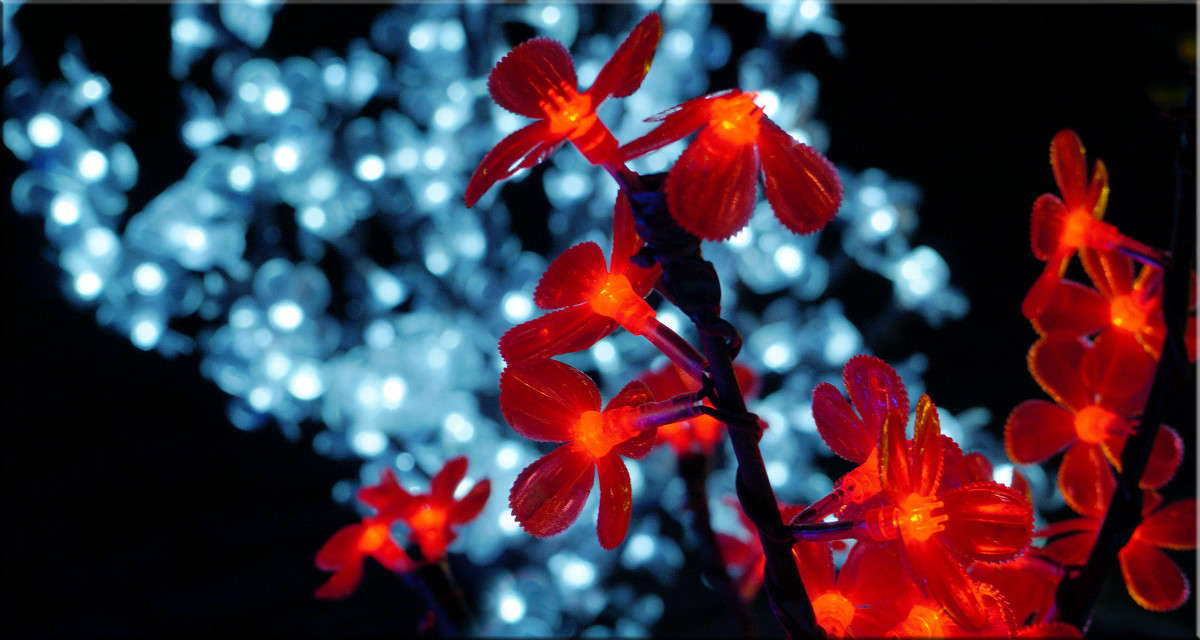 �������������� 2 ����� ������  �� PhotoGeek.ru #�������� ����������