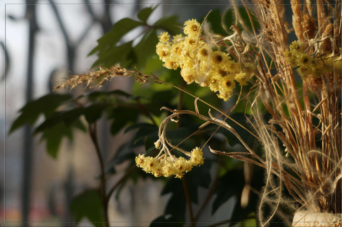 ����-���� ������� ����� ������  �� PhotoGeek.ru #�������� ����������