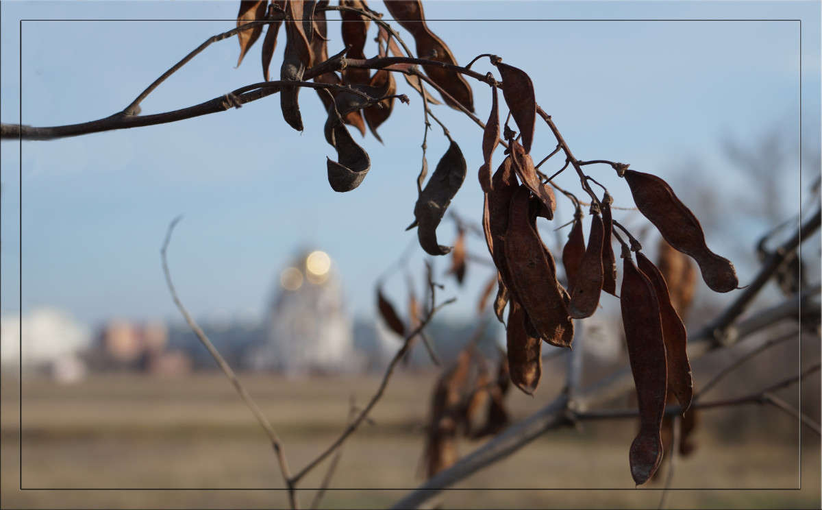 ��������� ����������� ����� ������  �� PhotoGeek.ru #�����