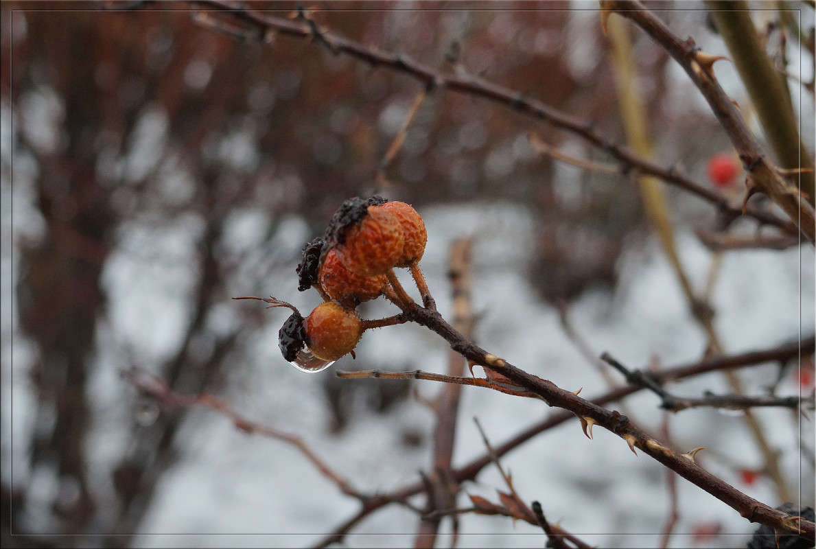 ����� ��� ������� 7 ����� ������  �� PhotoGeek.ru #������ ��� �������