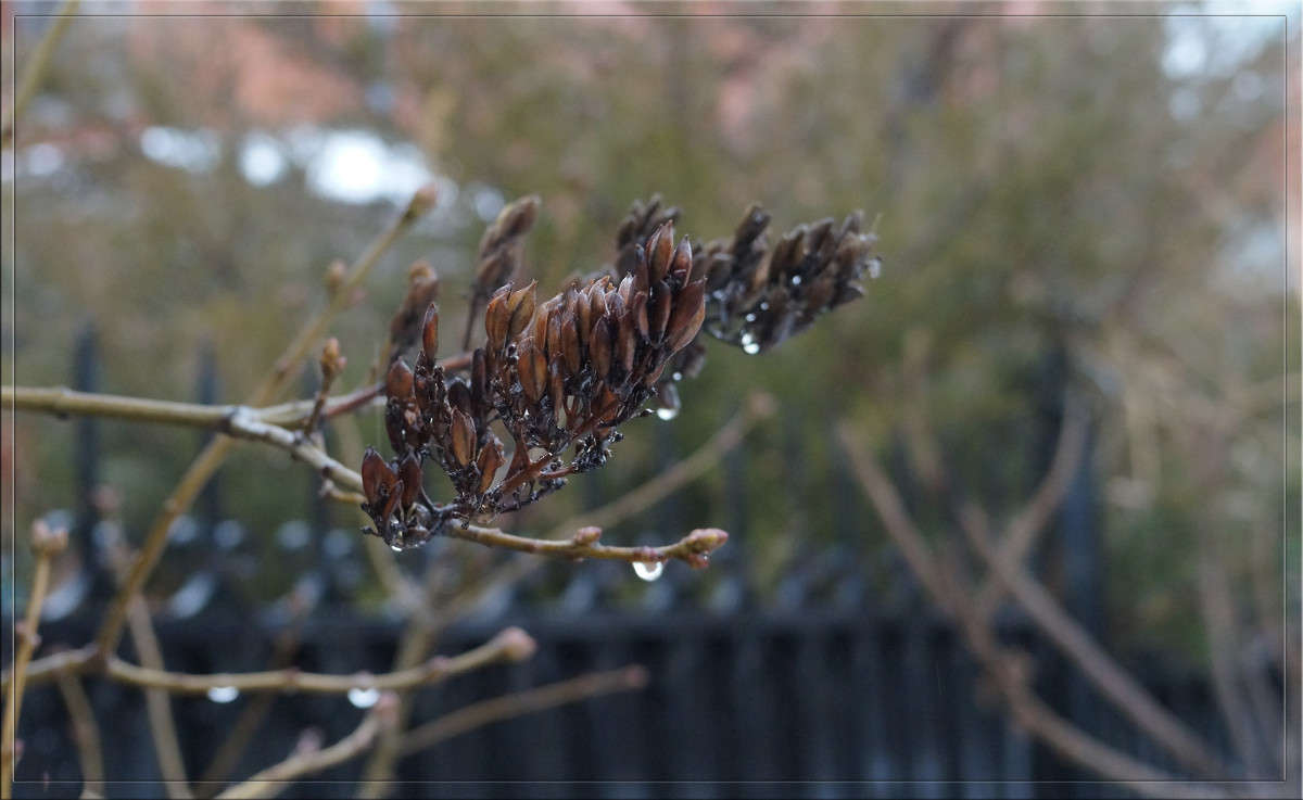 ����� ��� ������� 8 ����� ������  �� PhotoGeek.ru #������ ��� �������