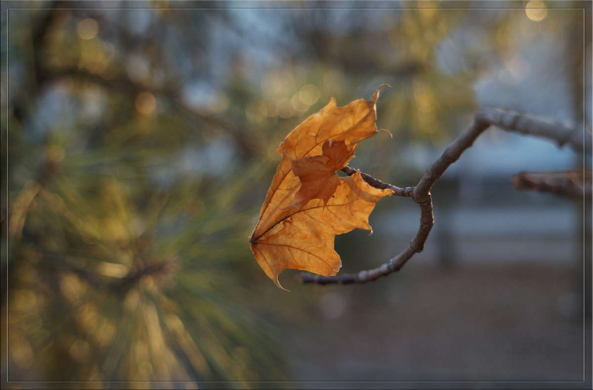 ������ 1-�� ������ ����� ������  �� PhotoGeek.ru #������ ��� �������