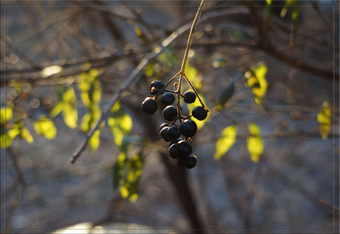 ������ 1-�� ������ 2 ����� ������  �� PhotoGeek.ru #������ ��� �������