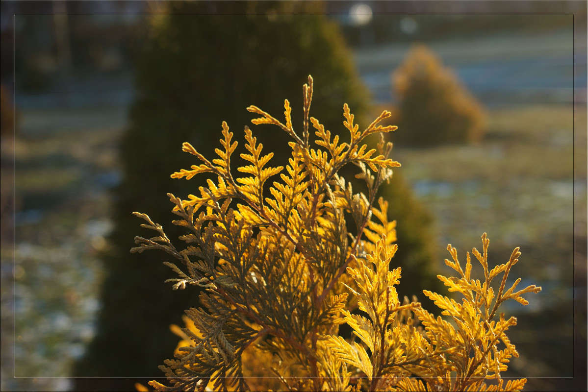 ������ 1-�� ������ 3 ����� ������  �� PhotoGeek.ru #������ ��� �������