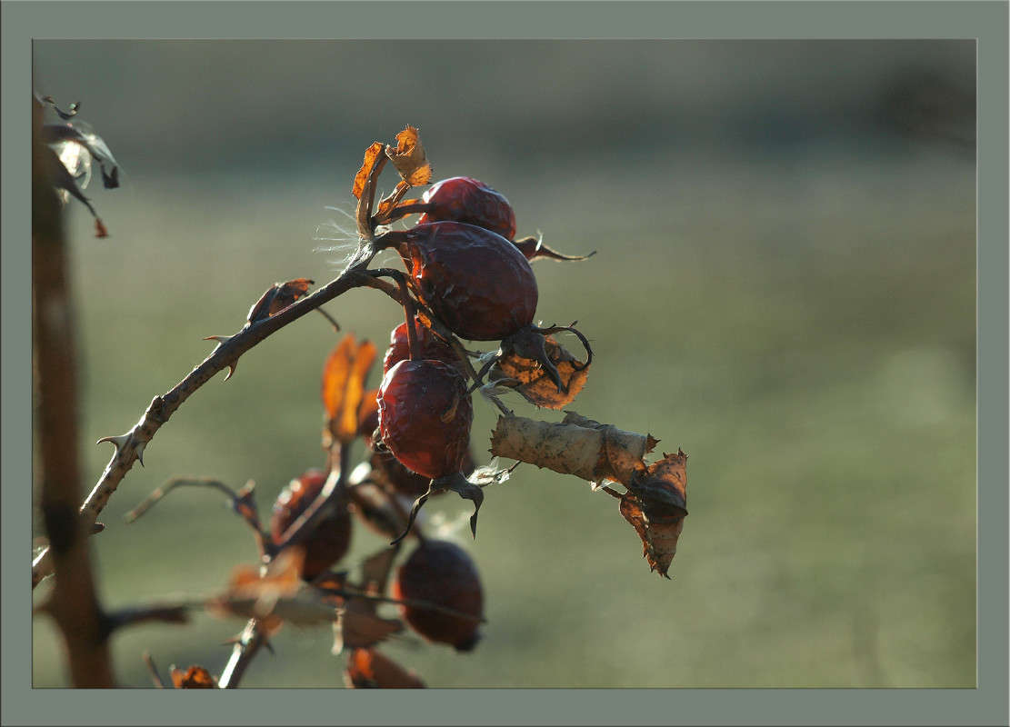 ������ 1-�� ������ 4 ����� ������  �� PhotoGeek.ru #������ ��� �������