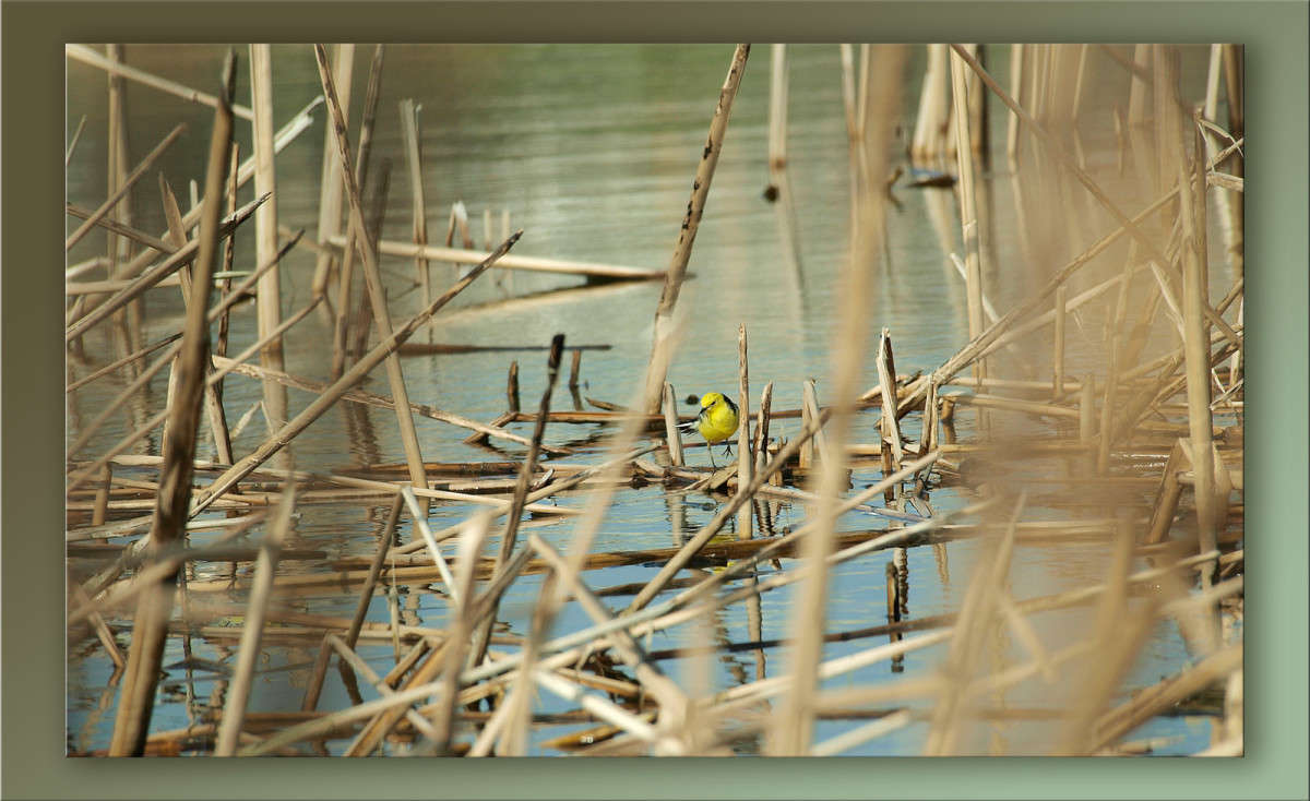 ������ �������� ����� ������  �� PhotoGeek.ru #������ ��� �������