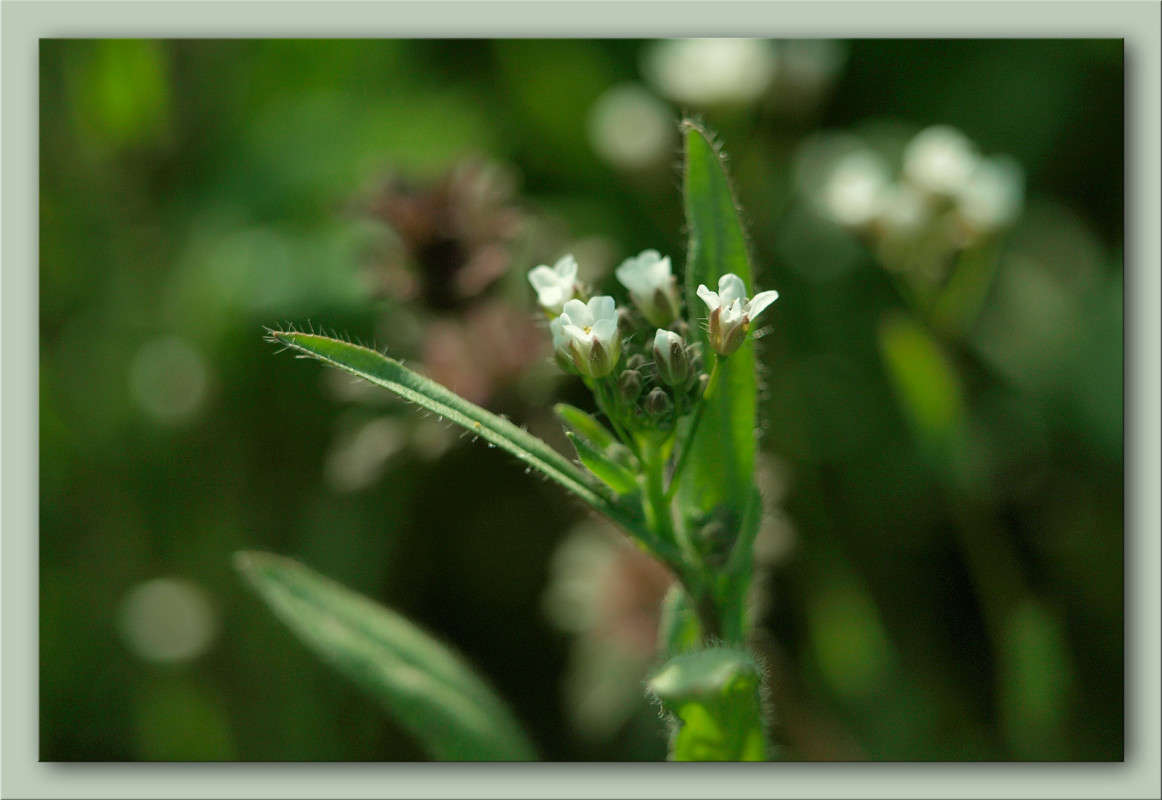 ��� � ����� ���������� ����� ������  �� PhotoGeek.ru #������ ��� �������