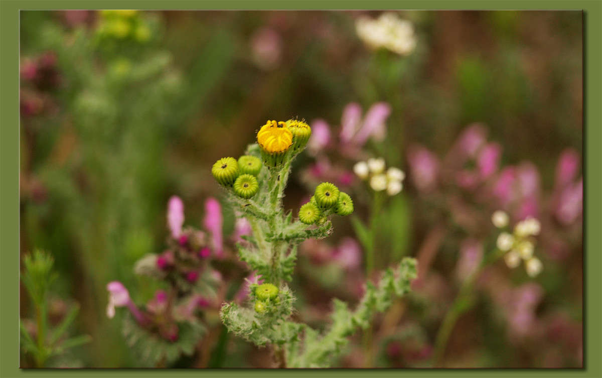 ��� � ����� ���������� 2 ����� ������  �� PhotoGeek.ru #������ ��� �������