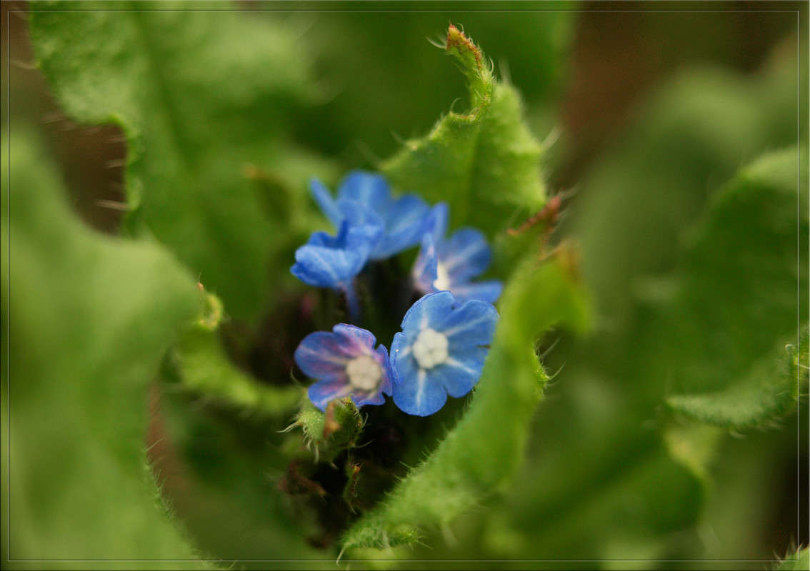 ��� � ����� ���������� 3 ����� ������  �� PhotoGeek.ru #������ ��� �������