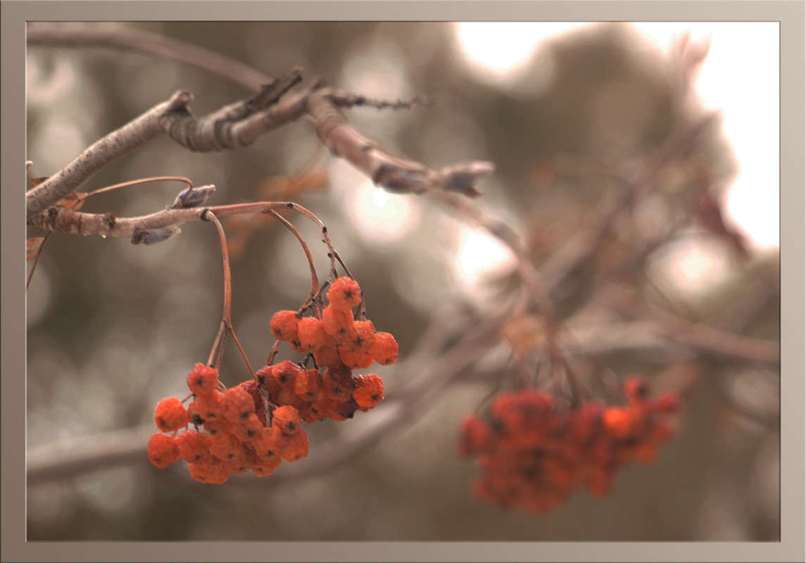 ������  ��������� ����� ������  �� PhotoGeek.ru #������ ��� �������