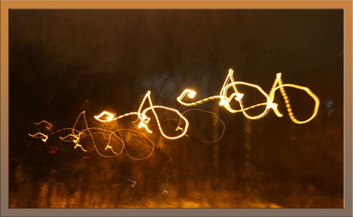 ��������� ���� ����� ������  �� PhotoGeek.ru #�������� ����������