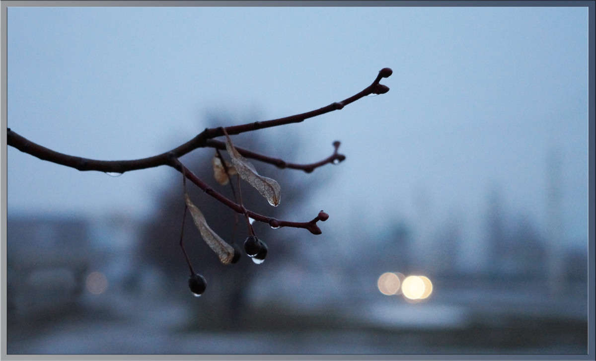 �������� �������� ����� ������  �� PhotoGeek.ru #������ ��� �������