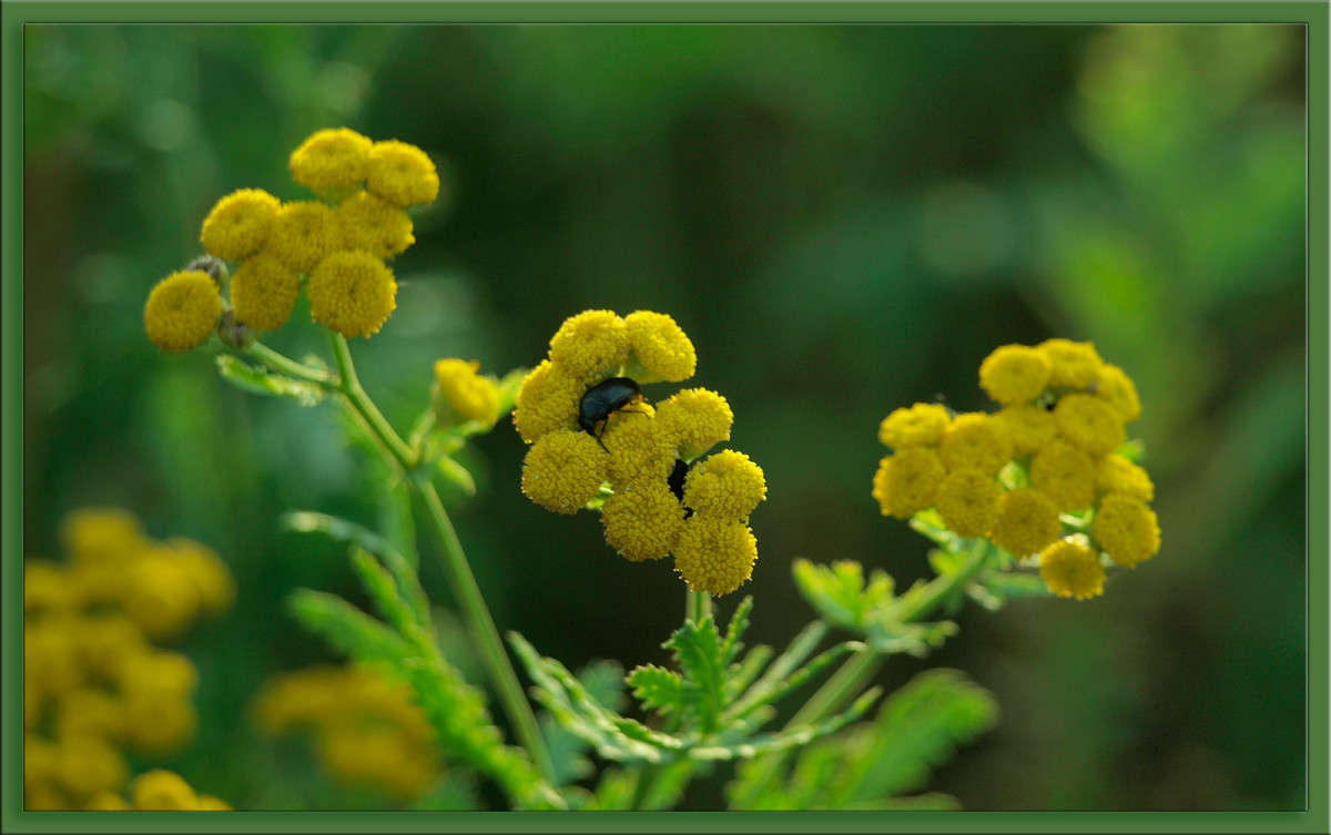 ����� ���� � ��������� � ����� ������  �� PhotoGeek.ru #������ ��� �������