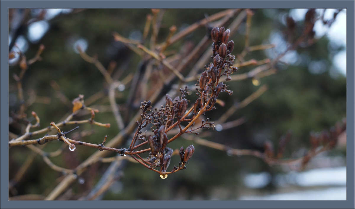 ������ � ����� 2 ����� ������  �� PhotoGeek.ru #������ ��� �������